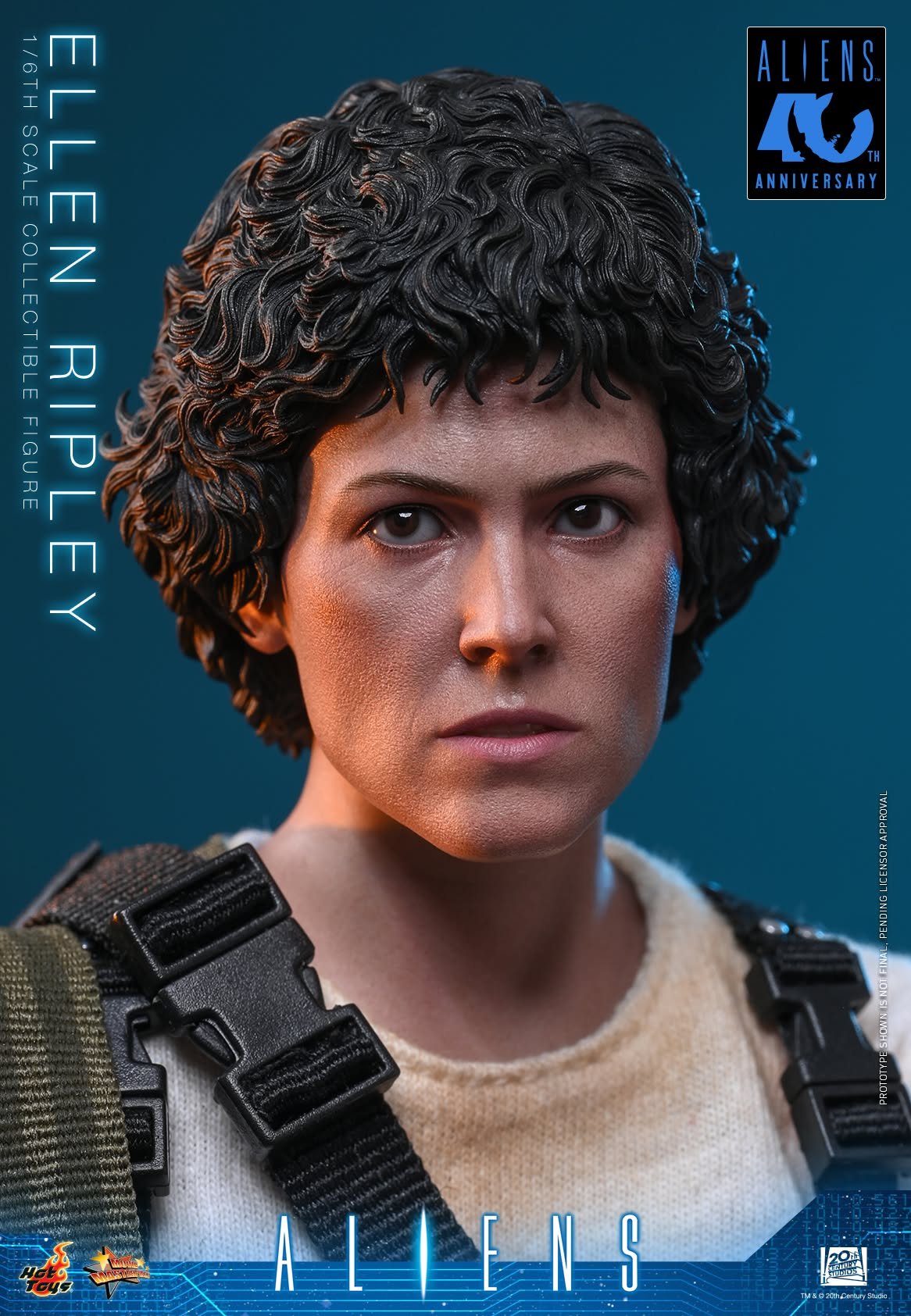 1:6 Scale Figures