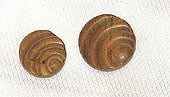 Wooden Carved Swirl Shank Buttons, 2 Sizes