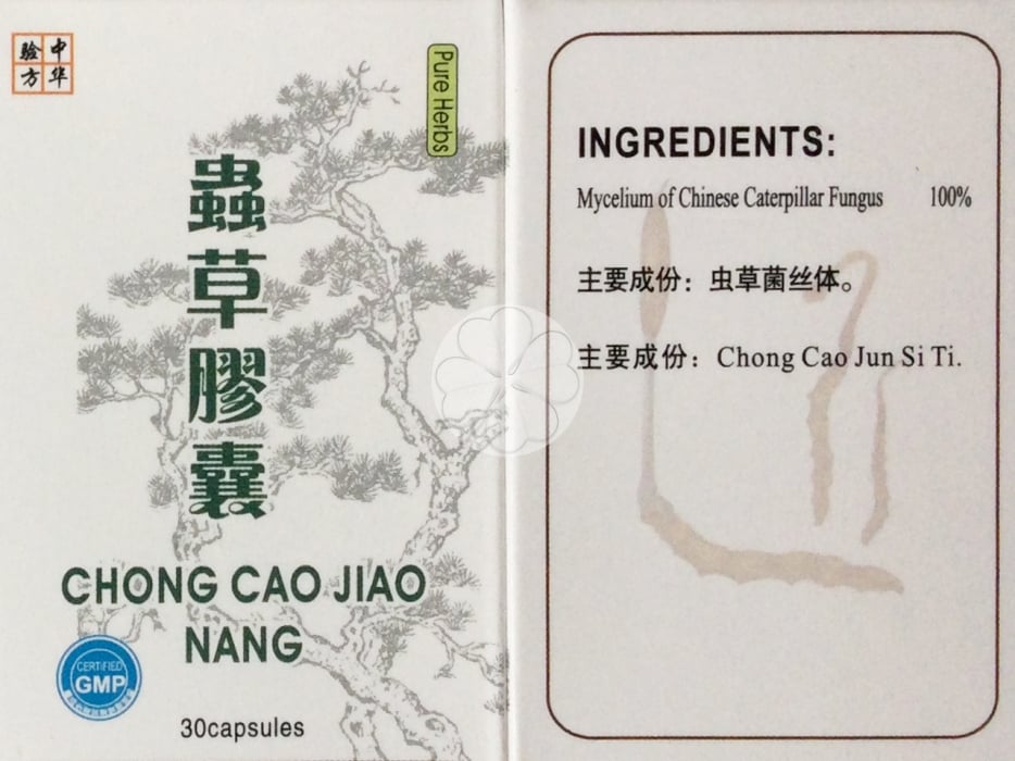 Chong Cao Jiao Nang (Cordyceps Capsules) - Guoyi v21