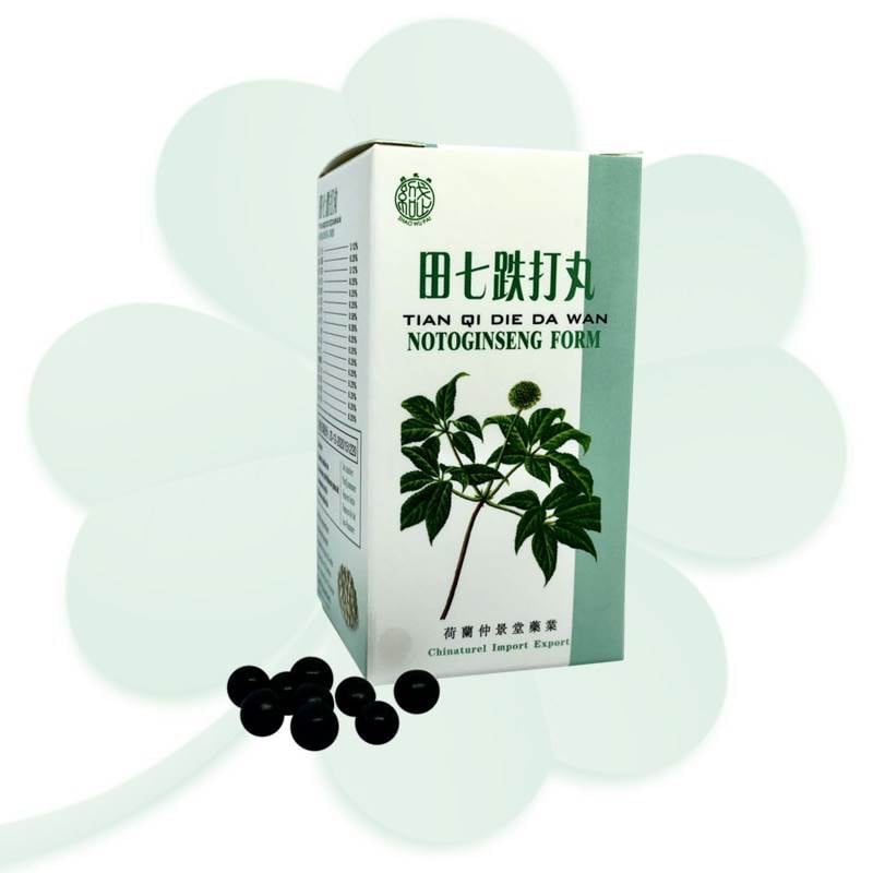 Tian Qi Die Da Wan, Notoginseng Form Pills - Shaowupai