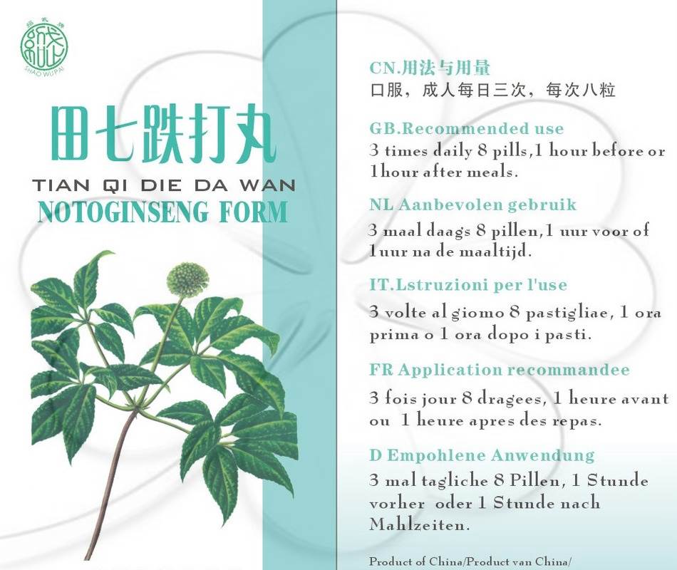 Tian Qi Die Da Wan, Notoginseng Form Pills - Shaowupai