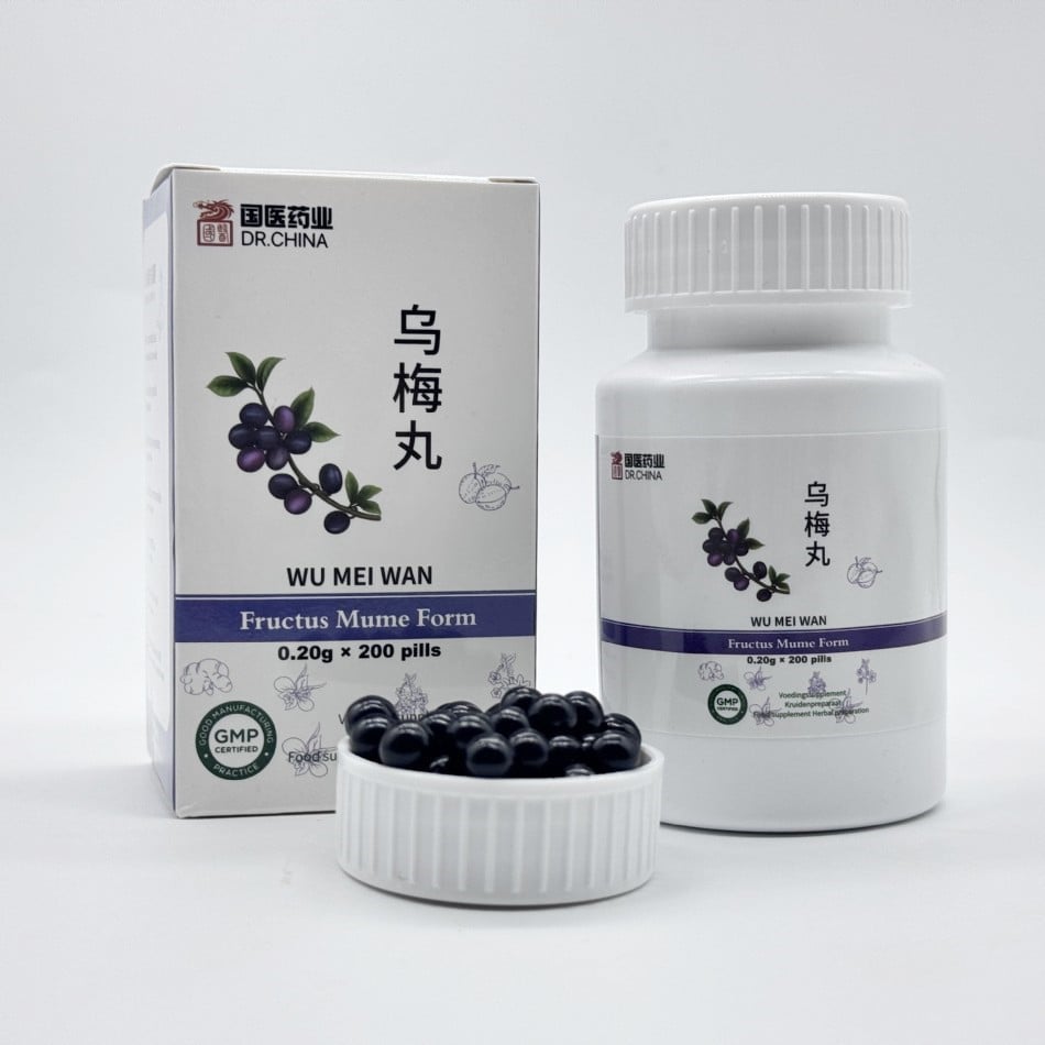 Wu Mei Wan DR.CHINA - Fructus Mume Form Pills - v26
