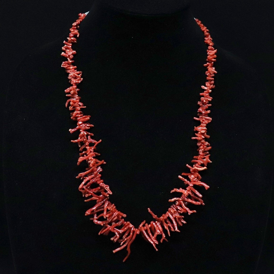 Toh-atin Gallery Durango Colorado Necklace with Coral Branch and Olive Shell