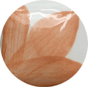 chrysanthos-pastel-salmon-one-strokes-1oz