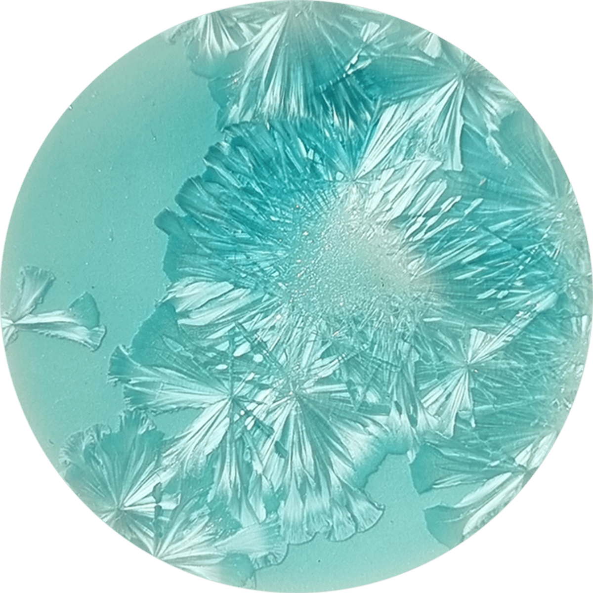 electra-supernova-pint-cone-4-8