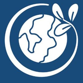 Sustainability-globe-symbol