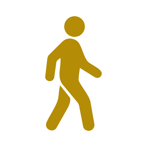 walking_icon